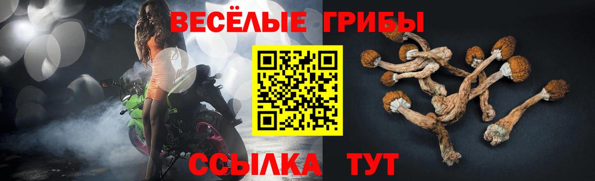 Борисоглебск  Галлюциногенные грибы прущие грибы  Вход с VPN 